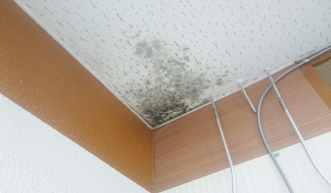 雨漏りが再発する、根治しない