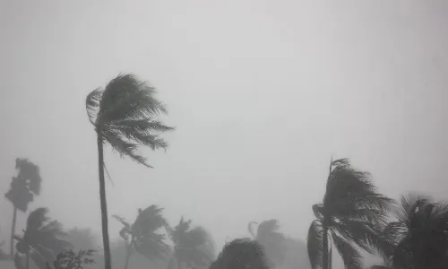 雨漏りが発生しやすい、台風やゲリラ豪雨・線状降水帯